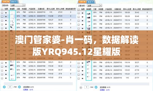 澳门管家婆-肖一码，数据解读版YRQ945.12星耀版