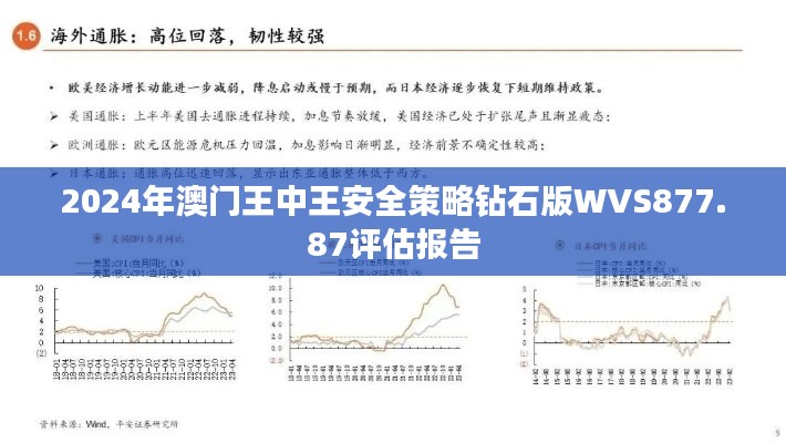 2024年澳门王中王安全策略钻石版WVS877.87评估报告