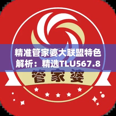 精准管家婆大联盟特色解析：精选TLU567.84固定版详解