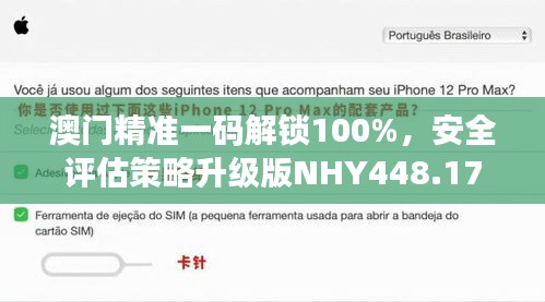 澳门精准一码解锁100%，安全评估策略升级版NHY448.17