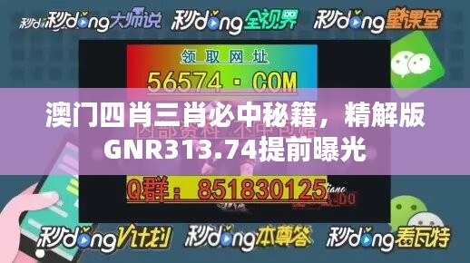 澳门四肖三肖必中秘籍，精解版GNR313.74提前曝光