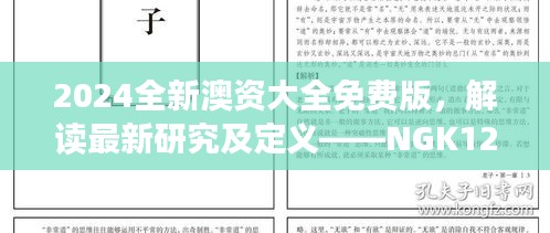 2024全新澳资大全免费版，解读最新研究及定义——NGK125.26普及版