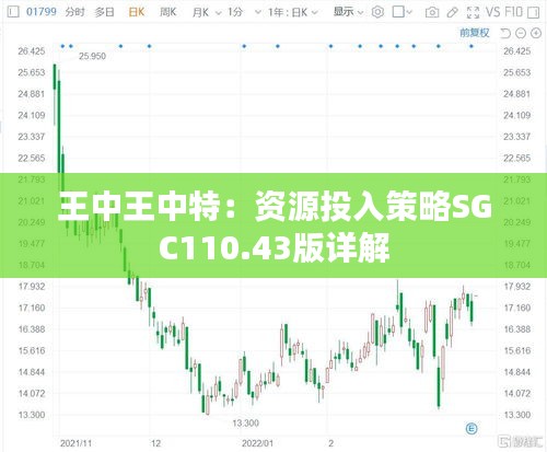 王中王中特：资源投入策略SGC110.43版详解