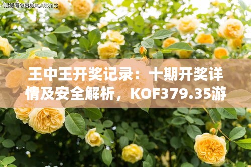 王中王开奖记录：十期开奖详情及安全解析，KOF379.35游戏版