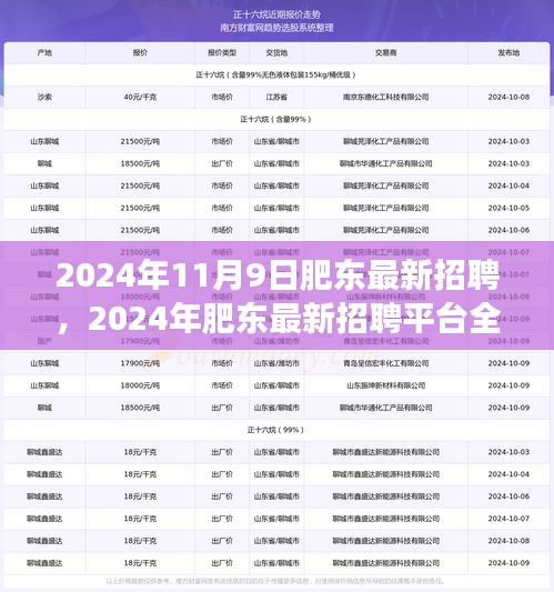 2024年肥东最新招聘平台全面评测，特性、体验、竞争分析与用户洞察