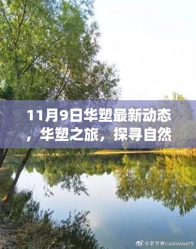 花开无言 第25页