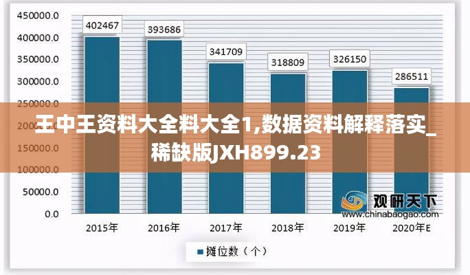 王中王资料大全料大全1,数据资料解释落实_稀缺版JXH899.23