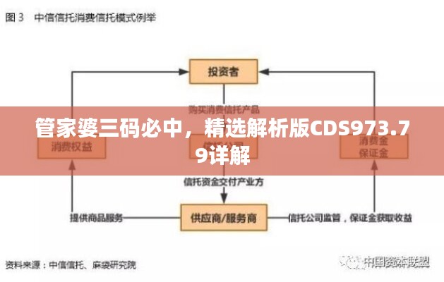 管家婆三码必中，精选解析版CDS973.79详解