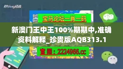 新澳门王中王100%期期中,准确资料解释_珍贵版AQB313.1