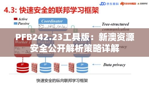 PFB242.23工具版：新澳资源安全公开解析策略详解