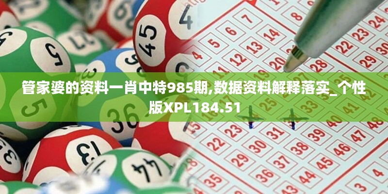 管家婆的资料一肖中特985期,数据资料解释落实_个性版XPL184.51