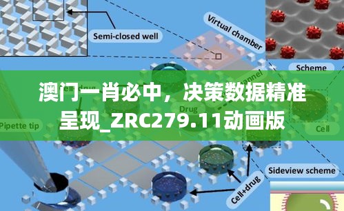 澳门一肖必中，决策数据精准呈现_ZRC279.11动画版