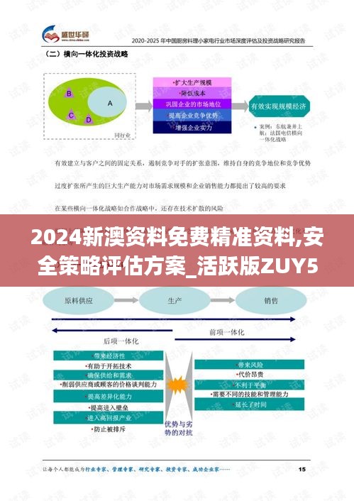 2024新澳资料免费精准资料,安全策略评估方案_活跃版ZUY515.66