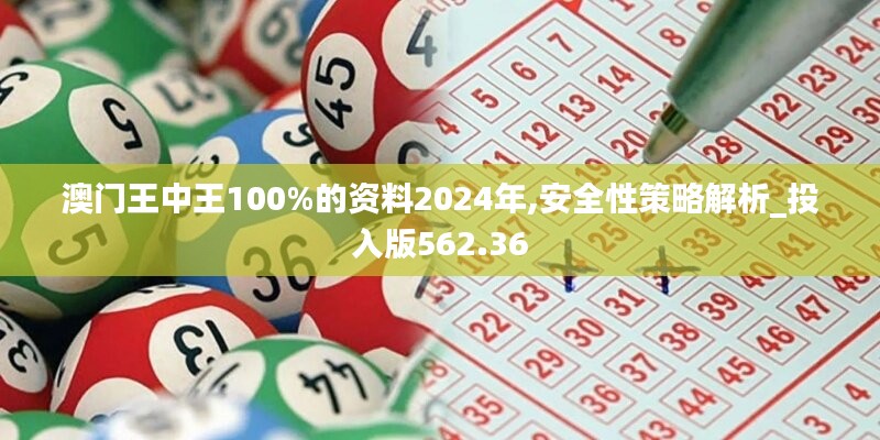 澳门王中王100%的资料2024年,安全性策略解析_投入版562.36