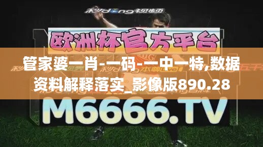 管家婆一肖-一码-一中一特,数据资料解释落实_影像版890.28