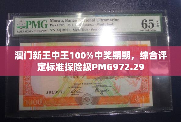 澳门新王中王100%中奖期期，综合评定标准探险级PMG972.29