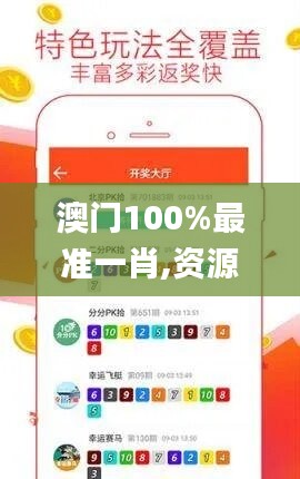 澳门100%最准一肖,资源实施策略_速达版ISB919.99