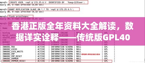 香港正版全年资料大全解读，数据详实诠释——传统版GPL40.36