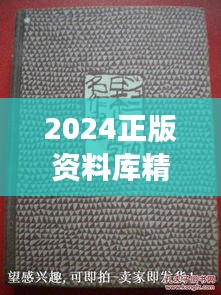 2024正版资料库精选，WIL379.86怀旧版深度解读