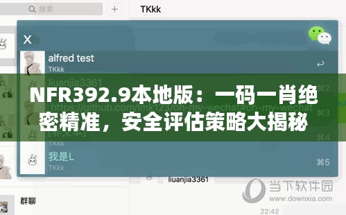 NFR392.9本地版：一码一肖绝密精准，安全评估策略大揭秘