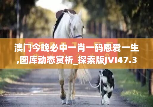 澳门今晚必中一肖一码恩爱一生,图库动态赏析_探索版JVI47.31