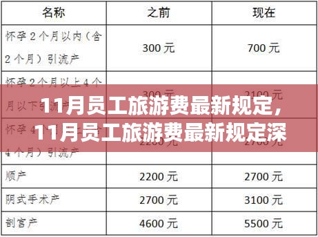 11月员工旅游费最新规定详解与深度评测