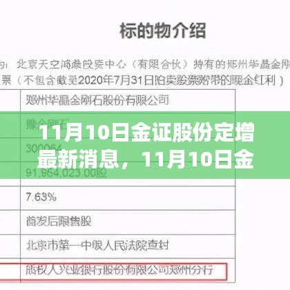 11月10日金证股份定增最新消息，深度解读与前景展望