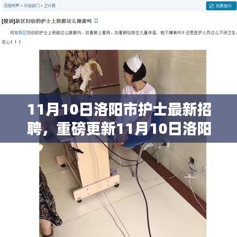 11月10日洛阳市护士全新招聘启事，护理梦想扬帆起航