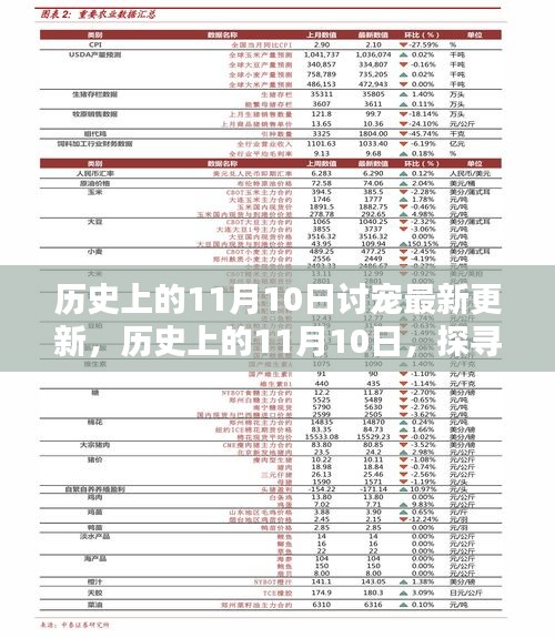 历史上的11月10日，探寻值得铭记的瞬间与最新讨宠更新