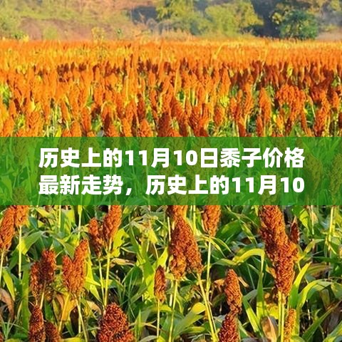 历史上的11月10日黍子价格走势深度解析及最新市场动态