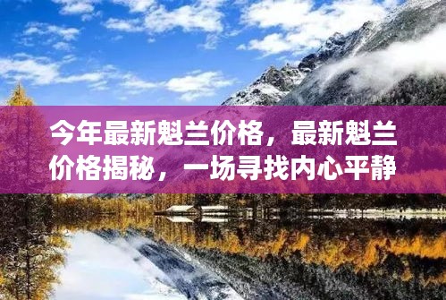 魁兰最新价格揭秘，寻找内心平静的绿色之旅