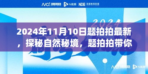 探秘自然秘境，题拍拍带你领略2024年11月10日的自然美景之旅新体验