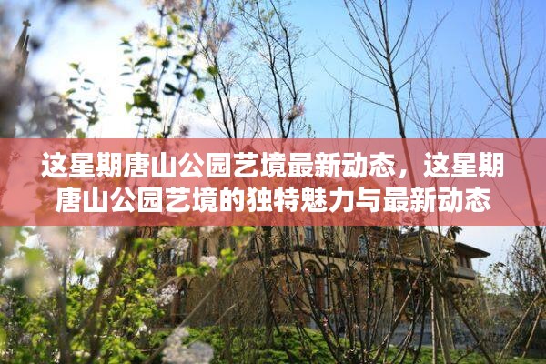 唐山公园艺境，独特魅力与最新动态揭秘