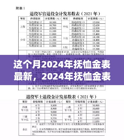 2024年抚恤金表更新，变化中的学习之旅，自信与成就感的鼓舞之路