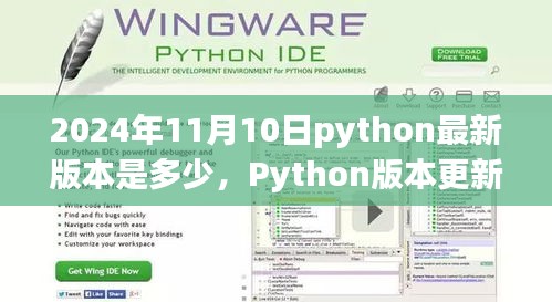 Python版本更新指南，如何查询并安装Python最新版本（针对初学者与进阶用户，以2024年为例）教你掌握Python最新版本更新动态及安装方法