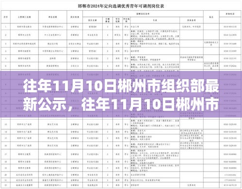 郴州市组织部公示系统评测及特性分析，目标用户的体验与目标洞察报告