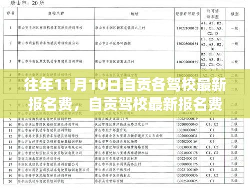 往年11月10日自贡驾校报名费全面解读与最新曝光