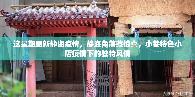 静海角落的惊喜，疫情之下小巷特色小店的独特风情本周最新疫情报道