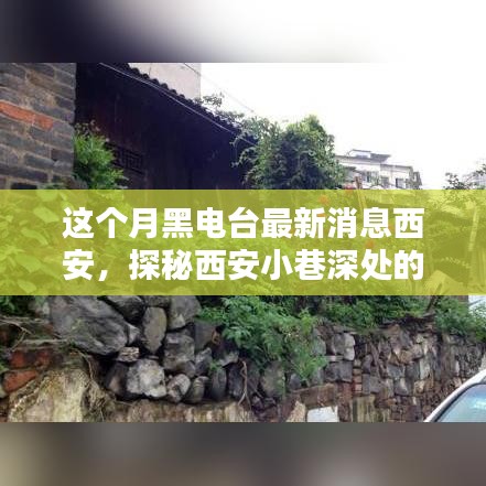 探秘月黑电台，西安小巷深处的神秘电台小店最新动态