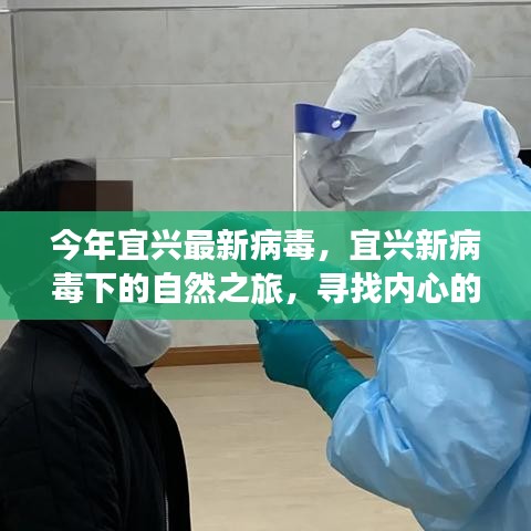 宜兴新病毒下的自然之旅，探寻内心宁静与平和之道