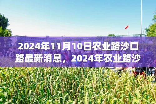 农业路沙口路最新动态评测及用户洞察，特性、体验与竞品对比（2024年11月）