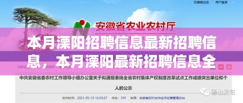 本月溧阳招聘信息汇总，全面解读特性、体验、竞争分析与用户洞察