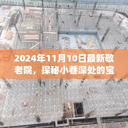 探秘宝藏之地，揭秘最新敬老院的非凡魅力之旅（2024年11月）