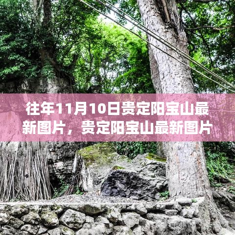 往年11月10日贵定阳宝山，最新图片欣赏与探索之旅步骤指南