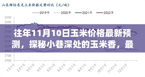 探秘小巷深处的玉米香与美食宝藏，最新玉米价格预测报告出炉！