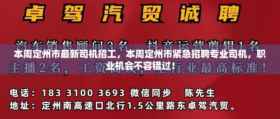 定州市紧急招聘专业司机，不容错过的职业机遇！