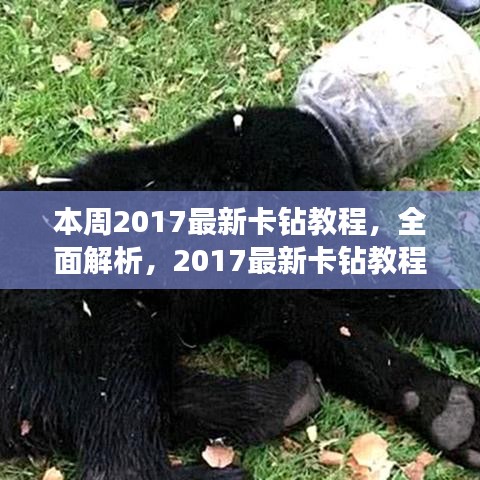 2017最新卡钻教程详解，本周评测与介绍