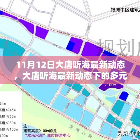 大唐听海最新动态及多元观点探析（11月12日更新）