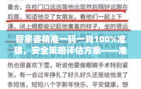 管家婆精准一码一肖100%准确，安全策略评估方案——准神OBT434.56