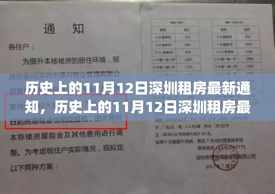 历史上的11月12日深圳租房最新通知，多方观点与个人立场深度解析